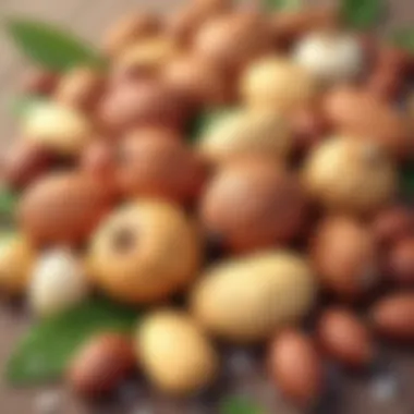 Diversity in Nuts: A Visual Exploration A collection of various nuts showcasing their unique shapes and textures