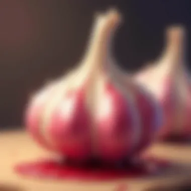 Unique Shape and Texture of Star Garlic Star garlic cloves showcasing their unique shape and texture